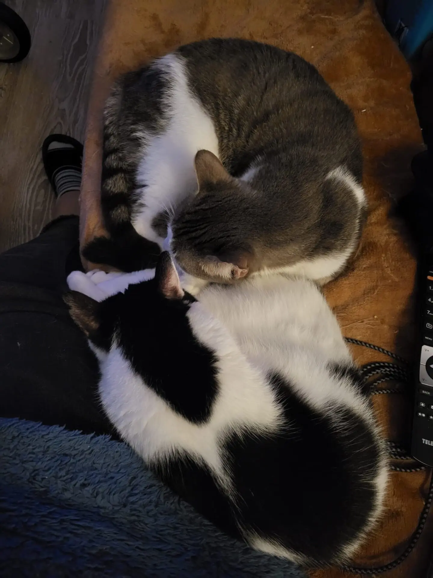 Leo & Toni